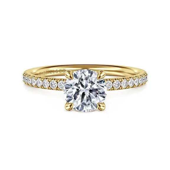 fancy-cut gemstone ladies engagement rings-Twain - 14K Yellow Gold Round Diamond Engagement Ring (Setting Only)